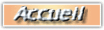 Accueil de Section