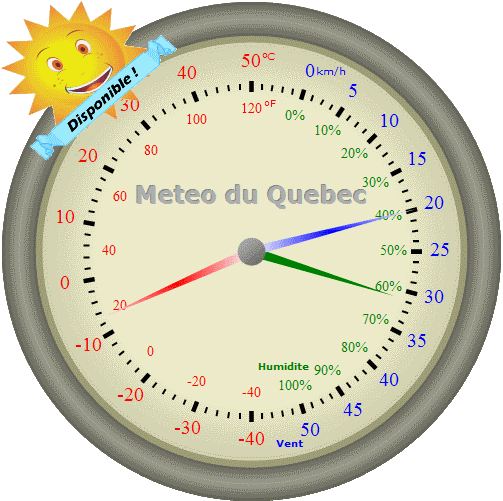 Station Météo - grandeur réelle